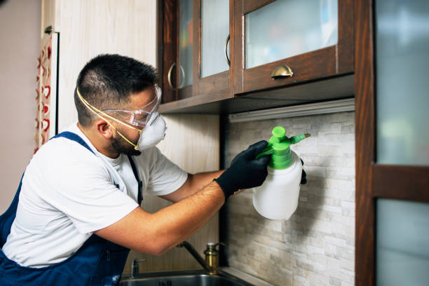 Best Pest Prevention Services  in East Bernard, TX