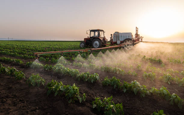 Best Best Pest Control Companies  in East Bernard, TX