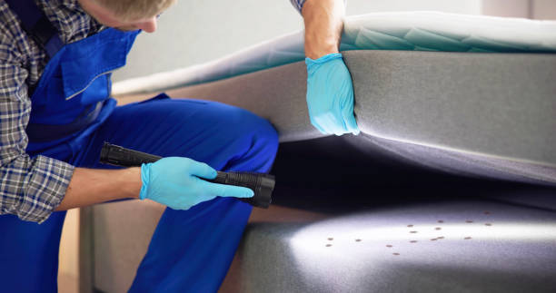 Best Rat Extermination Near Me  in East Bernard, TX