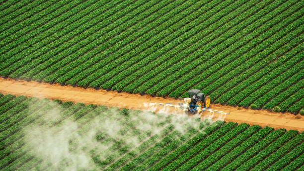Best Pest Inspection Near Me  in East Bernard, TX
