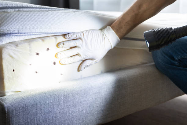 Best Pest Prevention Services  in East Bernard, TX