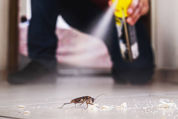 Best Affordable Pest Control Services  in East Bernard, TX